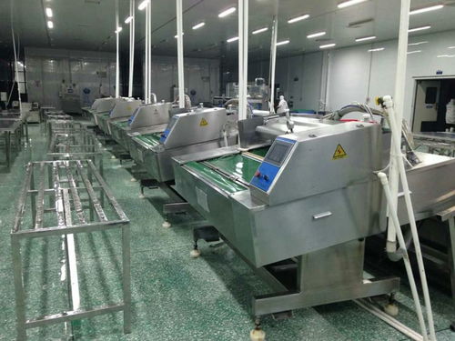 食品滾動包裝機與電腦圖文設計的完美融合 現代包裝工業的核心驅動力