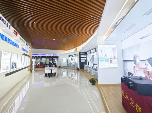 以產品力破局 廣西盈田明珠新品突圍存量市場之道